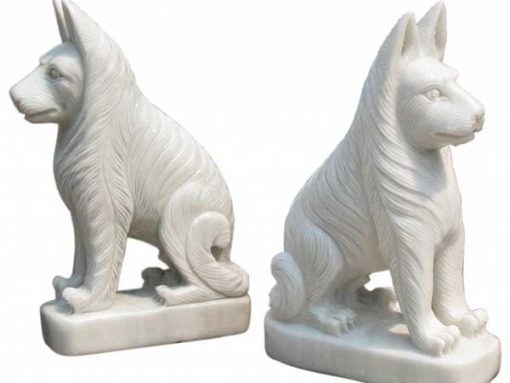 Cho-da-cam-thach-trang-cham-tro-tinh-xao-DT-CD02