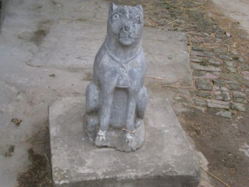 Cho-da-nguyen-khoi-DT-CD05-thiet-ke-don-gian-tinh-te