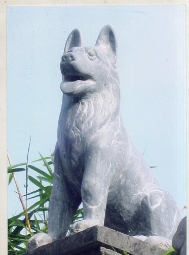 Cho-da-xanh-den-DT-CD0-thiet-ke-don-gian-tinh-te