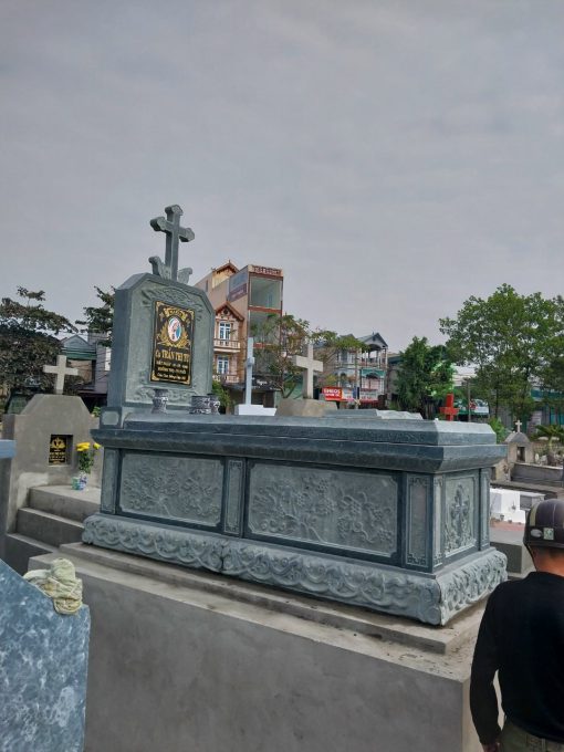 Mo-da-cong-giao-mau-xanh-reu-DT-MDCG03-tinh-te