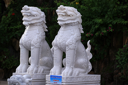 Nghe-da-trang-DT-ND04-mat-nguoc-nhin-len-troi-tinh-xao