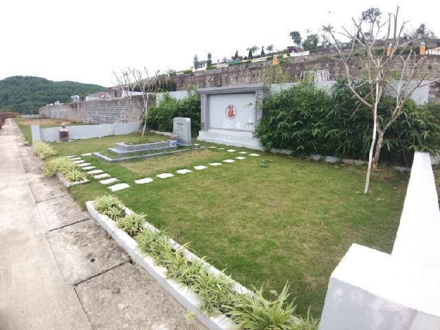 Cây Trúc Cây Trúc